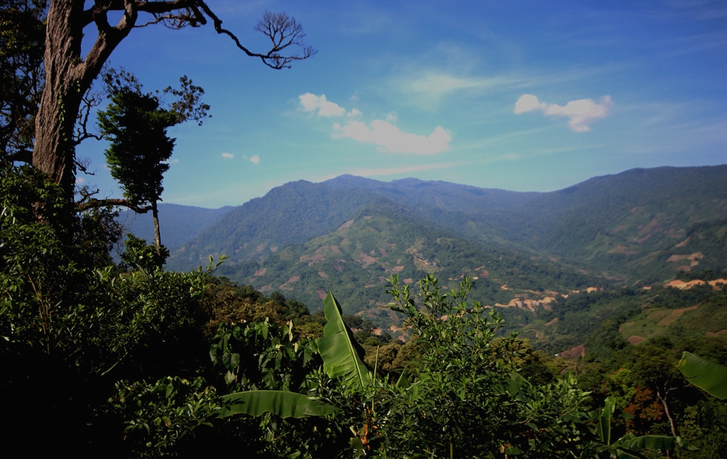 Dãy núi Ngọc Linh với truyền thuyết về cây sâm quý giúp người Xê Đăng thoát khỏi dịch bệnh.