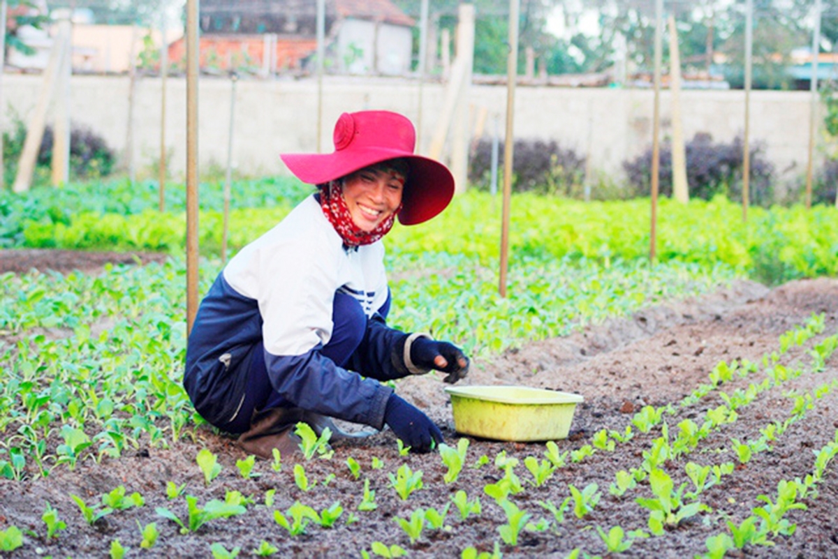 HTX Dũng Na đang là điểm tựa sản xuất cho nhiều nông dân địa phương.