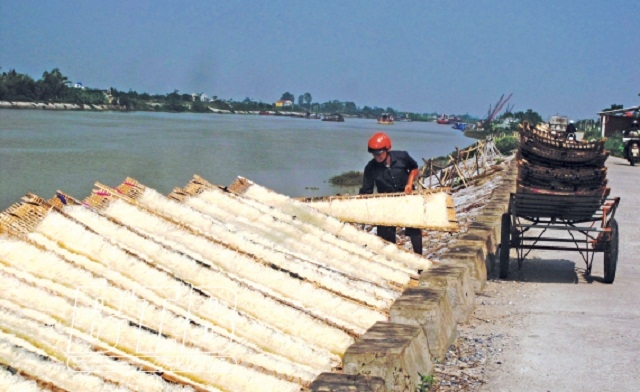 Sản xuất miến dong tại HTX Dịch vụ nông nghiệp xã Đông Thọ.