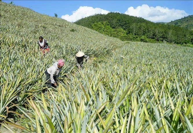 Sản xuất sạch mang lại giá trị kép về hiệu quả kinh tế và bảo vệ môi trường (Ảnh: TL)