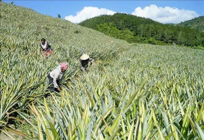 Sản xuất sạch mang lại giá trị kép về hiệu quả kinh tế và bảo vệ môi trường (Ảnh: TL)