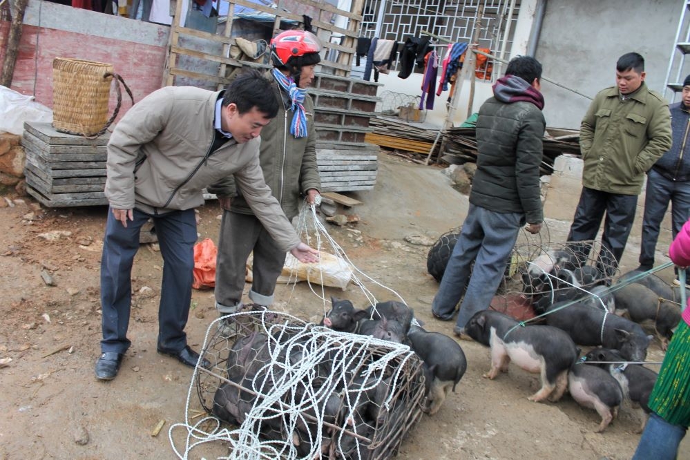 Lợn cắp nách cũng là một đặc sản ở Hà Giang.