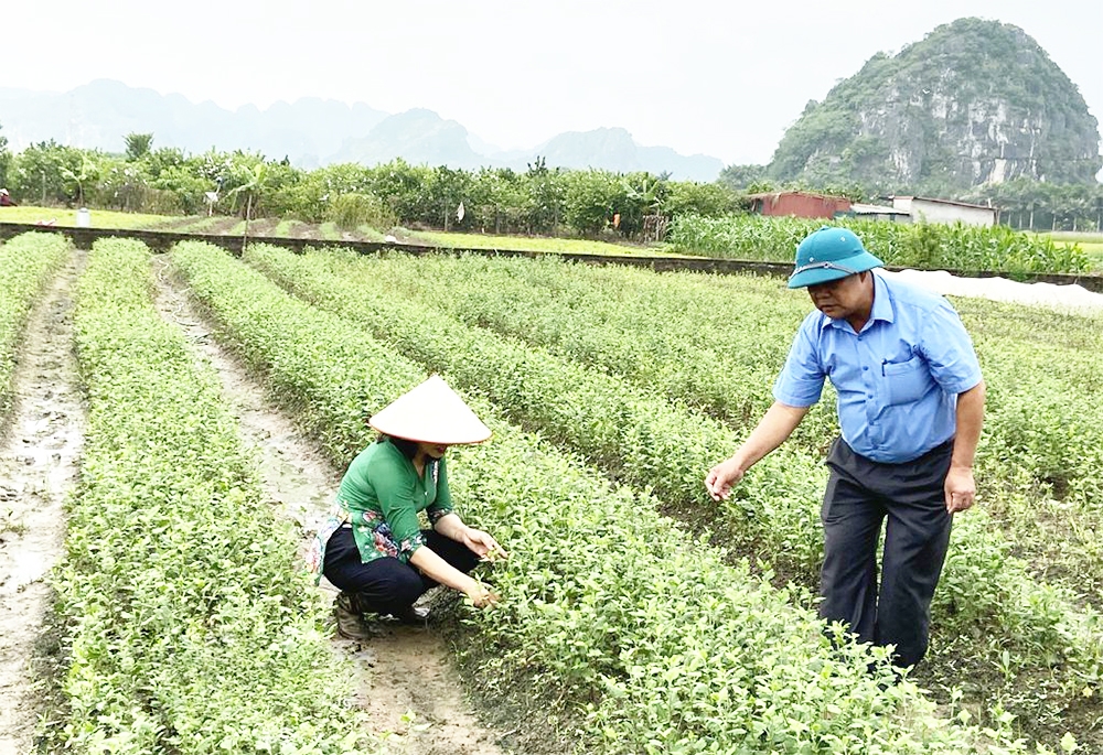 Cần thêm các nguồn lực hỗ trợ để các HTX phát huy