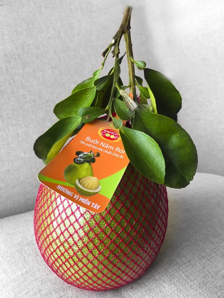 HTX Bio Fruit Coop chú trọng đầu tư thương hiệu cho nông sản.