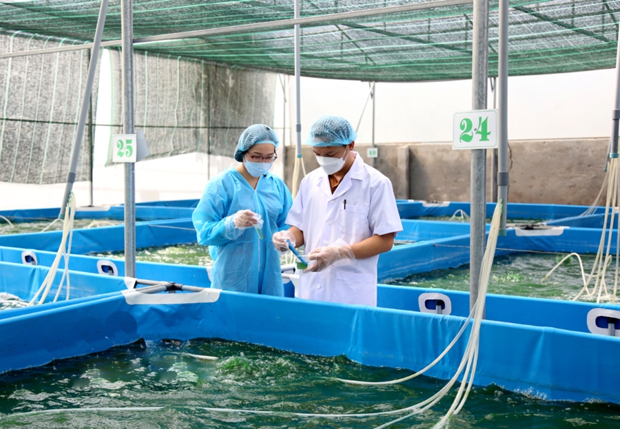 Chuyển đổi số là một trong những yếu tố được các HTX ở Ninh Bình chú trọng nhằm đa dạng thị trường tiêu thụ.