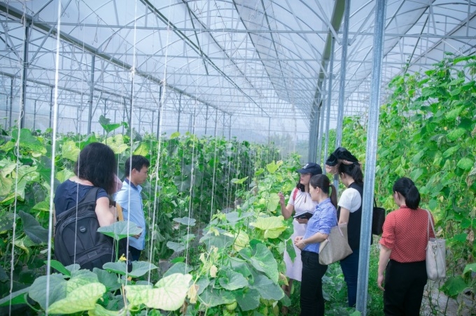 Nhiều HTX đang đẩy mạnh ứng dụng công nghệ cao nên nhu cầu về nguồn lực trẻ, có trình độ chuyên môn rất lớn.
