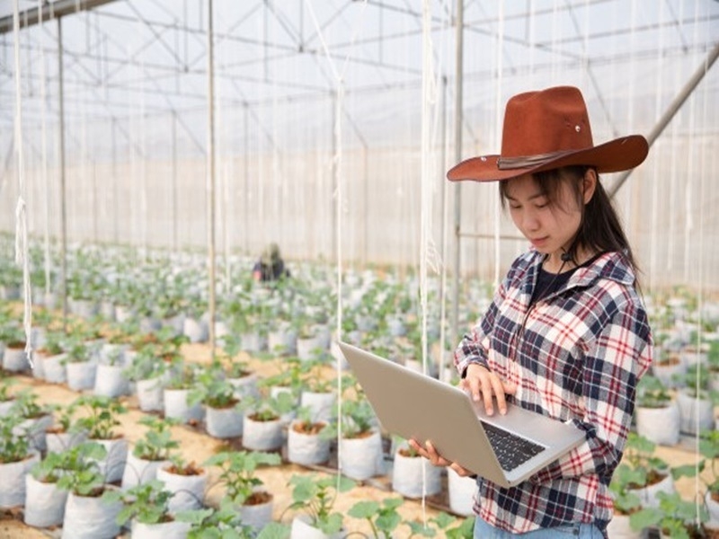 Đưa trí thức trẻ về làm việc giúp HTX phát huy hiệu quả sản xuất kinh doanh.