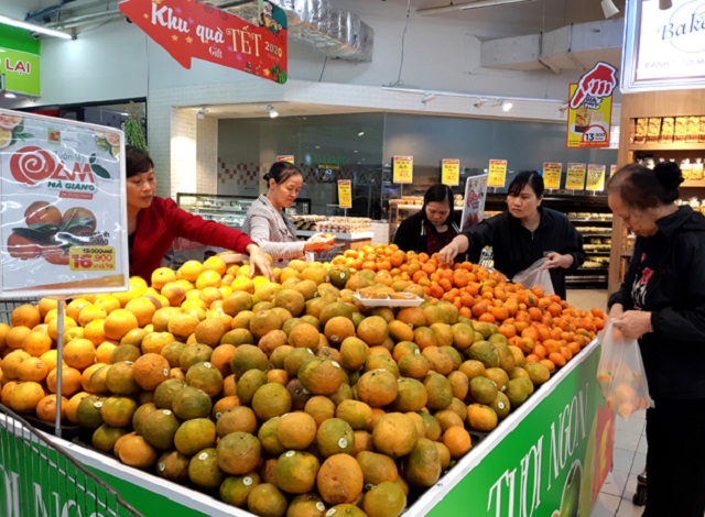Đưa cam Hà Giang vào siêu thị và xuất khẩu là hướng đi bền vững cho các HTX, doanh nghiệp.