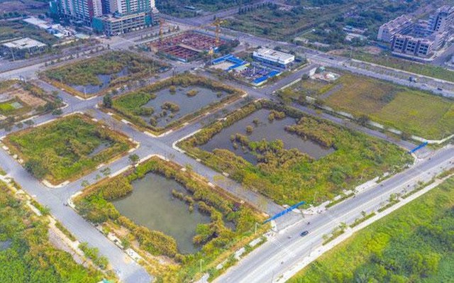 NHNN yêu cầu một số ngân hàng thương mại báo cáo tình hình cấp tín dụng với các doanh nghiệp, cá nhân để tham gia đấu giá các lô đất ở Khu đô thị Thủ Thiêm (Ảnh: Int).