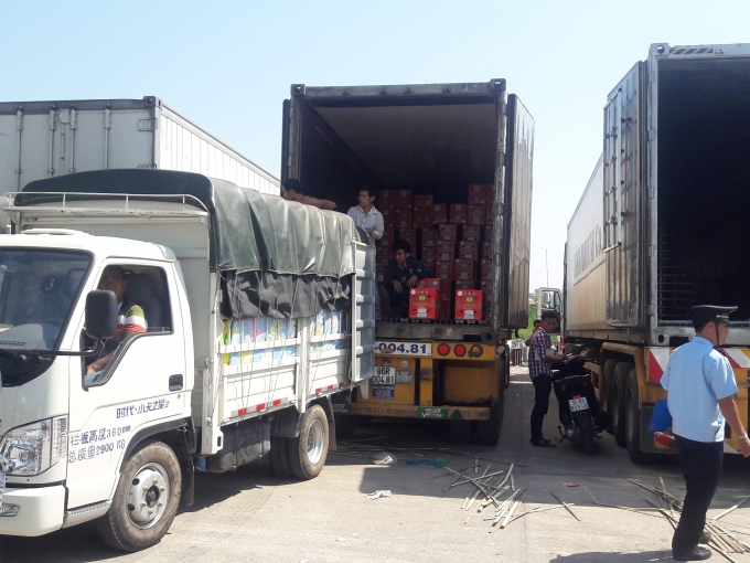 100% sản phẩm trái cây tươi Việt Nam xuất khẩu sang Trung Quốc phải kiểm dịch.