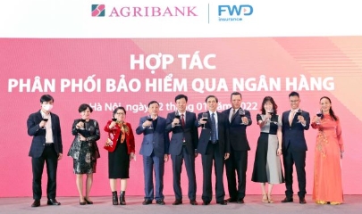 VnBusiness