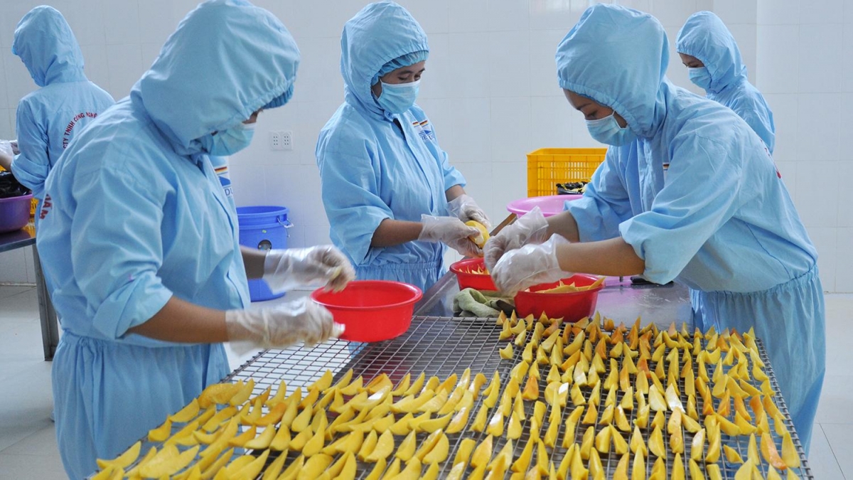 Trình độ công nghệ chế biến rau, quả ở mức trung bình tiên tiến.