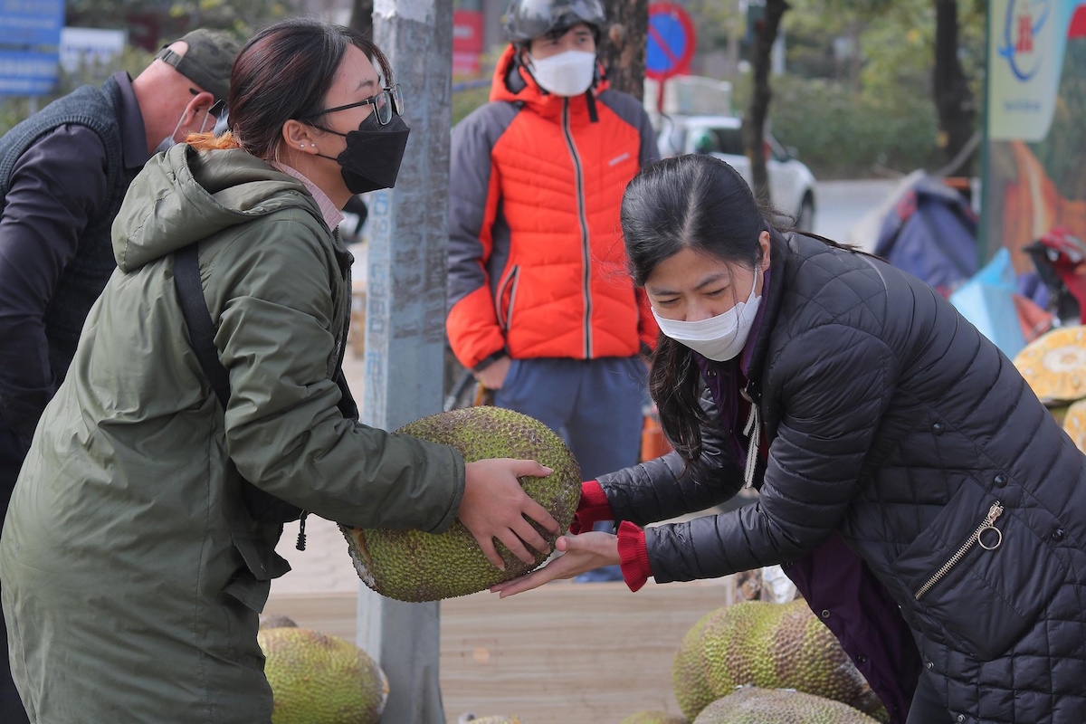 Cần cho thương lái một vai trong chuỗi giá trị nông sản.