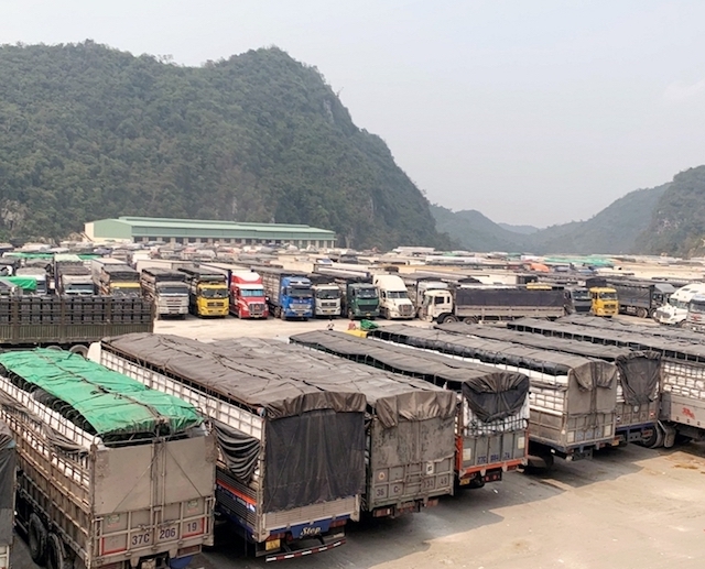 Hàng nghìn xe tải chở nông sản xuất khẩu sang Trung Quốc bị ùn tắc tại các cửa khẩu biên giới phía Bắc.