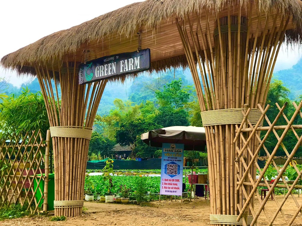 Thực hiện quét mã QR trước khi vào tham quan, trải nghiệm là biện pháp an toàn mà HTX Toàn Dân đang và sẽ tiếp tục áp dụng.