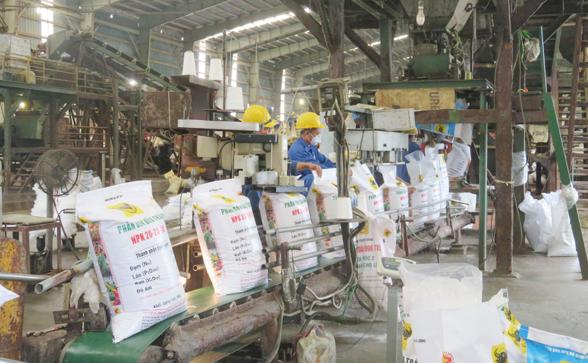 Giá phân bón tăng cao, doanh nghiệp lãi lớn nhưng lợi nhuận nông dân giảm.