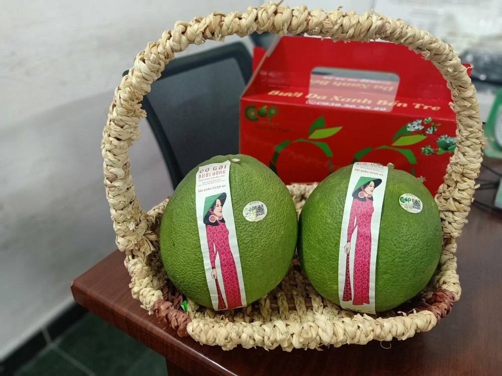HTX bưởi da xanh Bến Tre tự tin với đầu ra cho trái bưởi vào dịp Tết Nguyên đán không chỉ bởi chất lượng vượt trội mà còn vì cả nước đã bước vào thời kỳ bình thường mới.