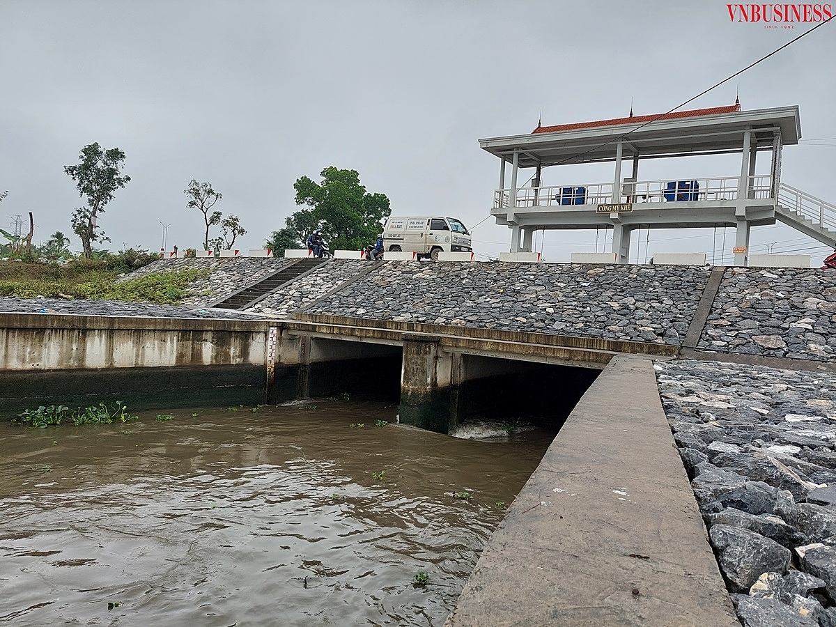 Việc điều tiết nước cho sản xuất vụ Xuân 2022 được ngành nông nghiệp thành phố Hải Phòng đặc biệt quan tâm.