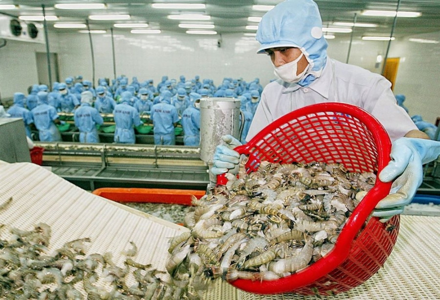 Một số doanh nghiệp xuất khẩu nông sản gặp khó vì chưa được cấp mã số xuất khẩu sang Trung Quốc (Ảnh minh họa: Int)