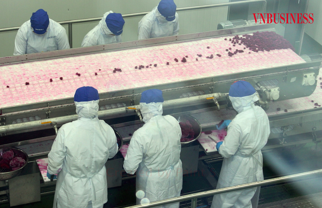 Bài học về mối liên kết lỏng lẻo vẫn là nỗi lo trong hoạt động chế biến nông sản.