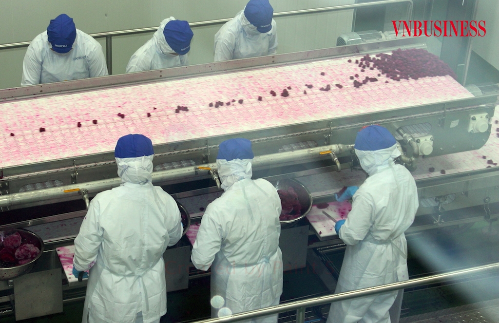 Bài học về mối liên kết lỏng lẻo vẫn là nỗi lo trong hoạt động chế biến nông sản.