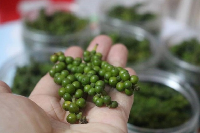 Giá tiêu ngày 21/2 dao động trong khoảng 81.500 - 85.000 đồng/kg.