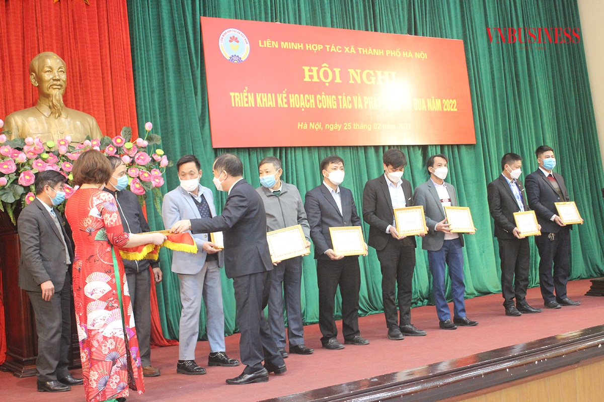 Phó Chủ tịch Liên minh HTX Hà Nội trao bằng khen cho những cá nhân xuất sắc trong khu vực HTX.