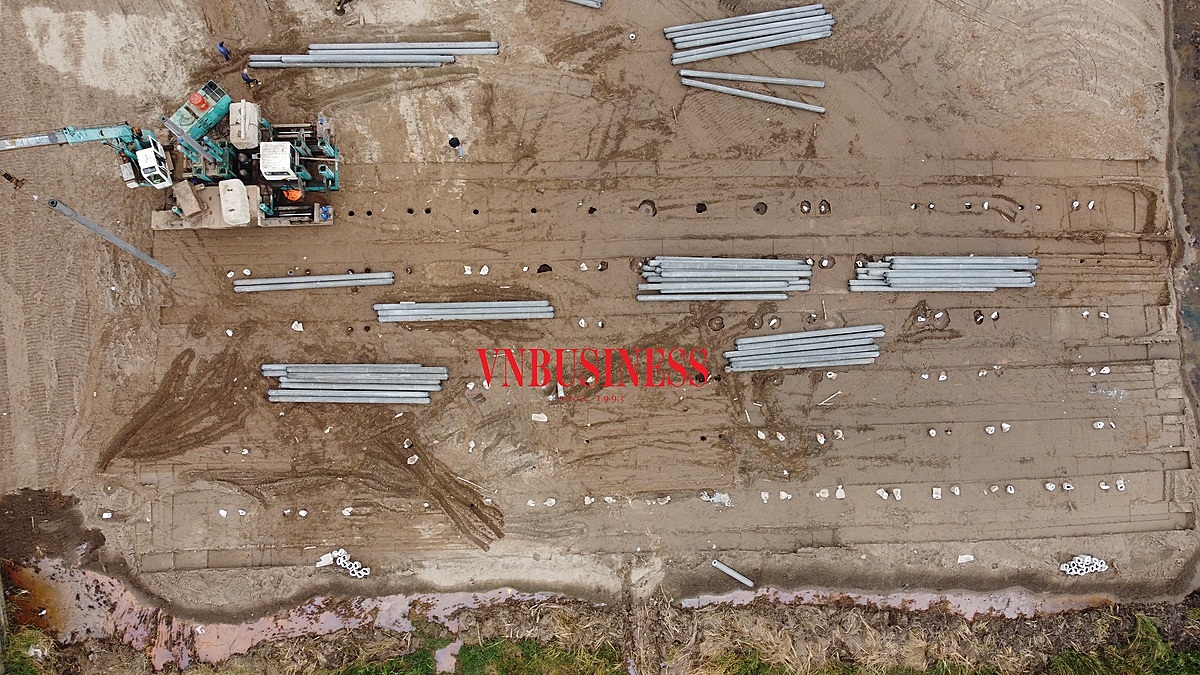 80% số cọc trong bức ảnh này là cọc có độ dài 9m và dưới 9m.