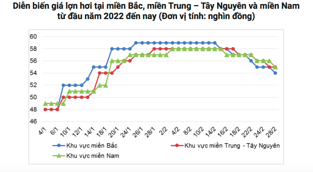 Giá lợn hơi trong nước đang dao động trong khoảng 50.000 - 55.000 đồng/kg.