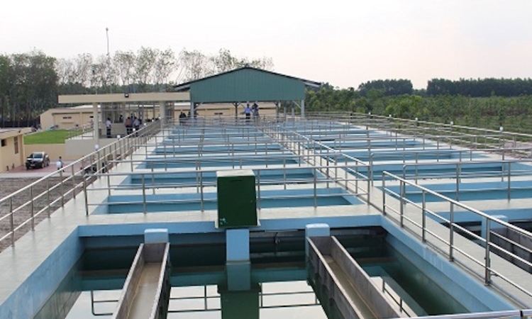 Góc khuất phía sau con gà đẻ trứng vàng Biwase