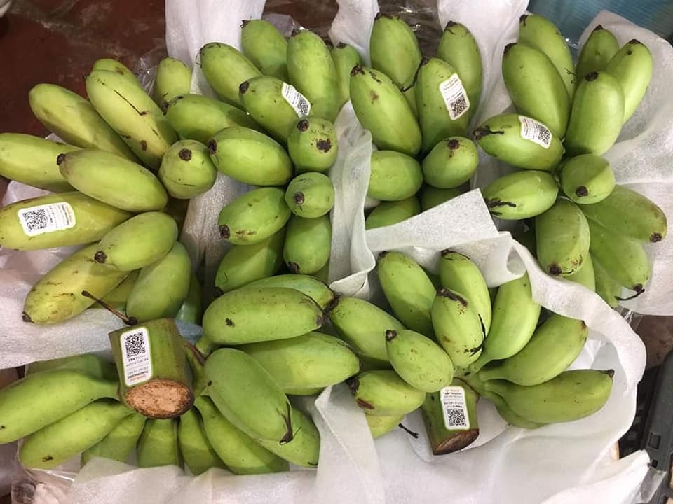 Nhiều doanh nghiệp phản ánh gặp khó khăn khi xin mã số xuất khẩu nông sản sang Trung Quốc.