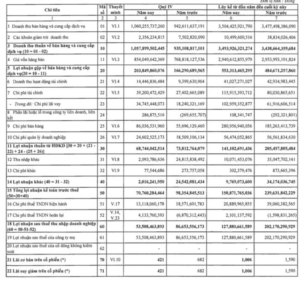 Kết quả kinh doanh quý IV/2021 và năm 2021 của CTCP Nam Việt. (Nguồn: BCTC CTCP Nam Việt)