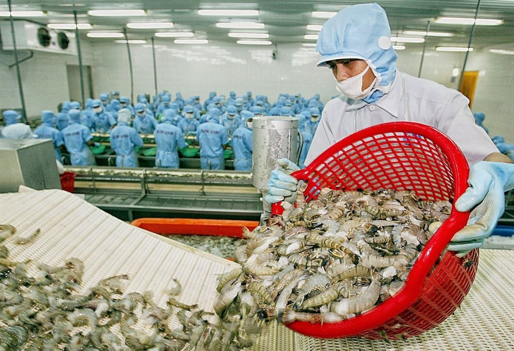 Mặt hàng tôm chiếm tới 43,87% kim ngạch xuất khẩu thủy sản năm 2021, đạt 3,9 tỷ USD, tăng 4% so với năm 2020 (Ảnh: Int)