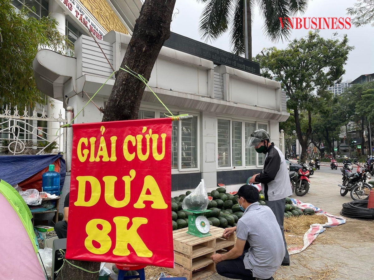 Các đợt giải cứu nông sản trước đó luôn được người dân ủng hộ nhiệt tình, tuy nhiên trong tháng 3/2022 này, do dịch bệnh căng thẳng, tâm lý người dân ngại ra ngoài tiếp xúc nên sức mua cũng ảm đạm hơn nhiều.