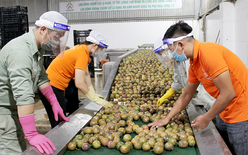 Khách hàng Anh biết nhiều hơn trái chanh leo từ Việt Nam.