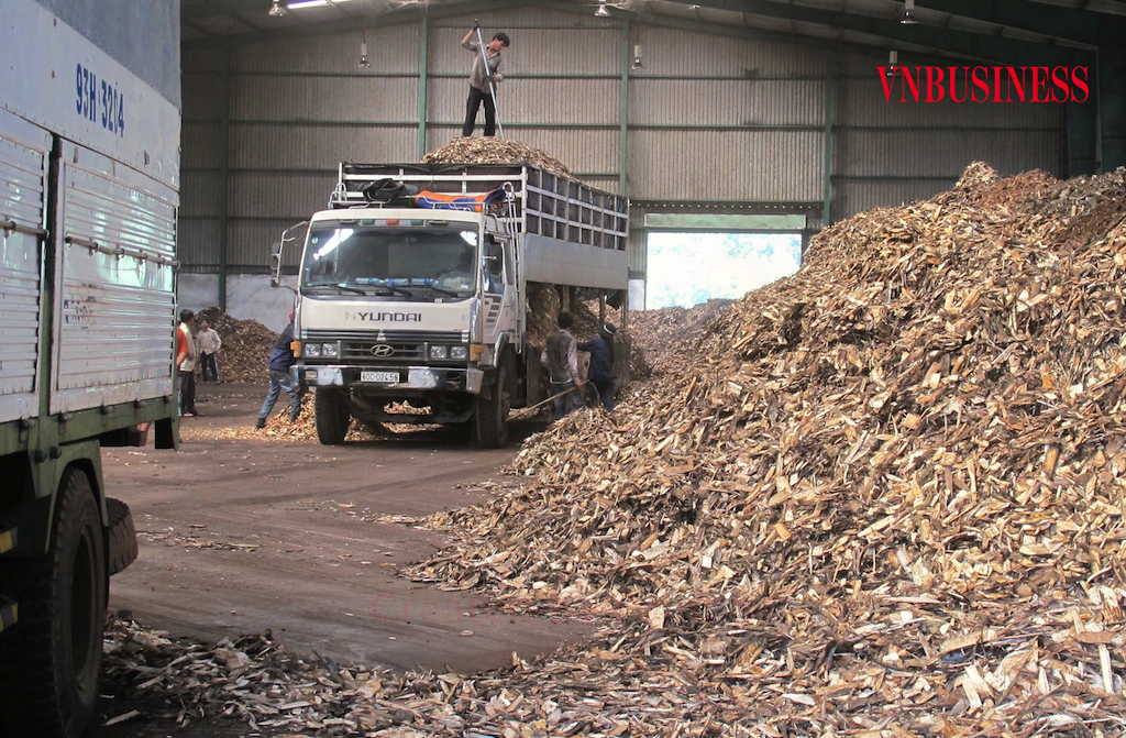 Các DN ngành sắn đang chật vật về dòng tiền, trong khi quy định của Tổng cục Thuế để có thể hoàn thuế VAT lại như đánh đố.