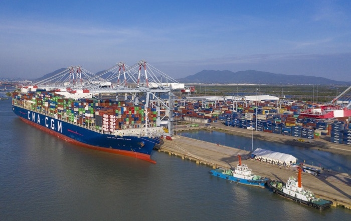 Chi phí logistics tăng phi mã đang làm khó các HTX xuất khẩu nông sản.