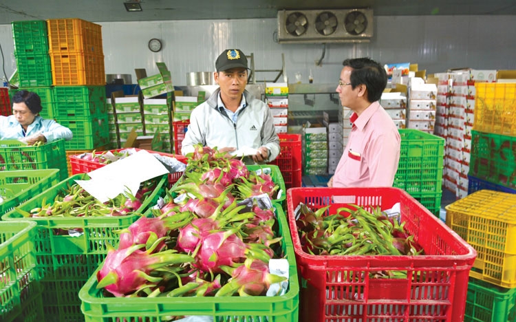 Các nước phát triển kiểm soát chặt chẽ nông sản nhập khẩu, nhưng nếu HTX tuân thủ tốt các quy định thì sẽ được thông quan hàng hóa rất nhanh.