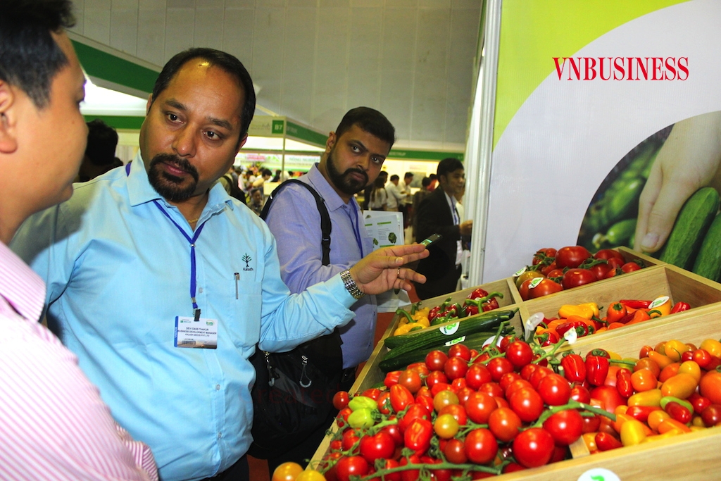 Có nhiều DN Việt thụ động chờ các nhà nhập khẩu từ Tây Á sang Việt Nam tìm nguồn hàng, chứ chưa chủ động tìm kiếm cơ hội.