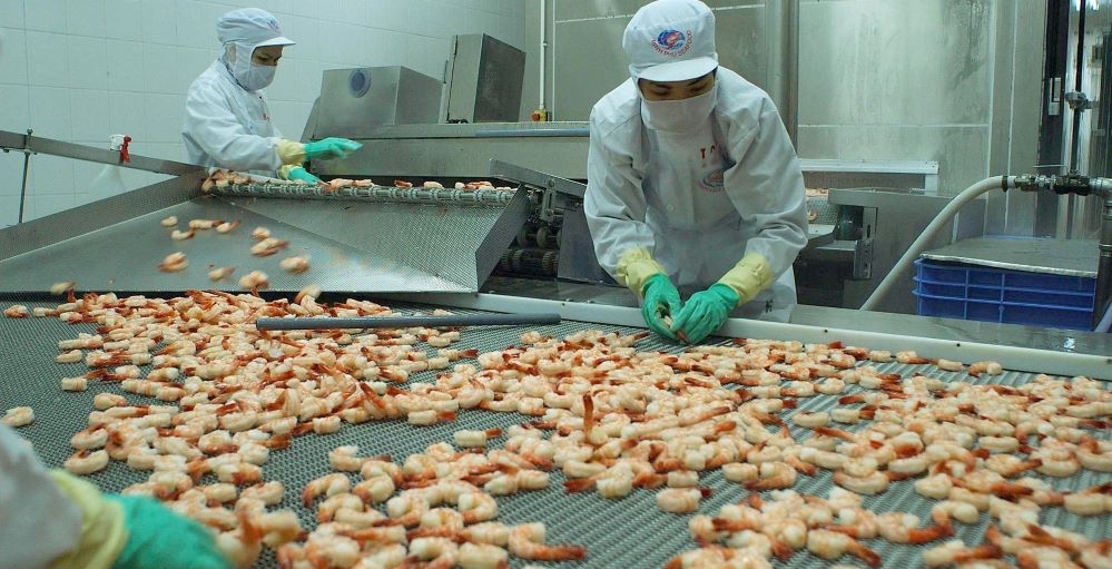 Thủy sản là một trong những lĩnh vực sẽ được nghiên cứu, đề xuất sáng kiến cải cách cơ chế, chính sách, thủ tục hành chính (Ảnh: TL)