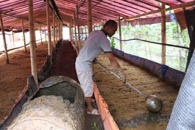 Các phế thải của quá trình trồng trọt được xử lý để làm thức ăn cho giun quế, tạo thành một vòng tròn khép kín của kinh tế tuần hoàn.