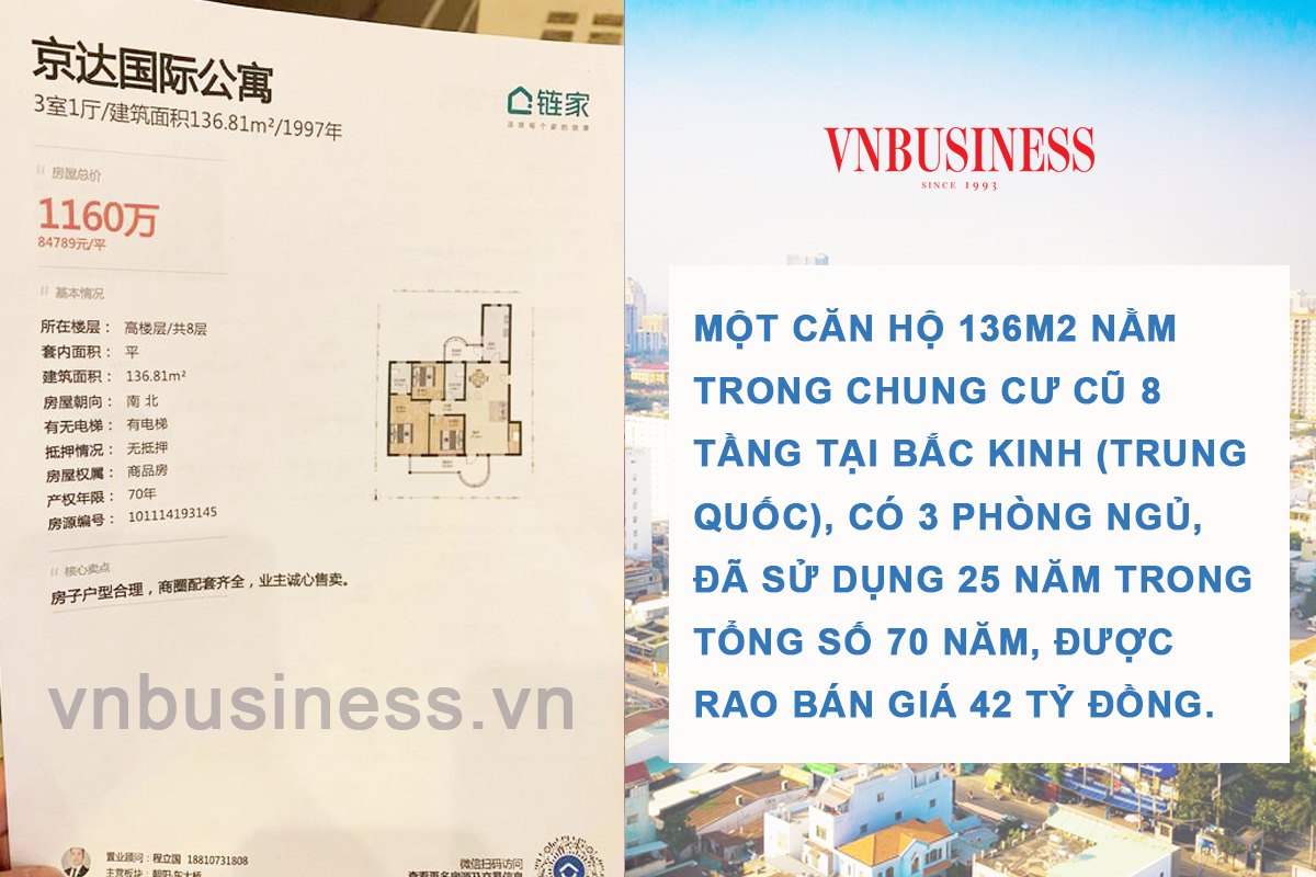 VnBusiness