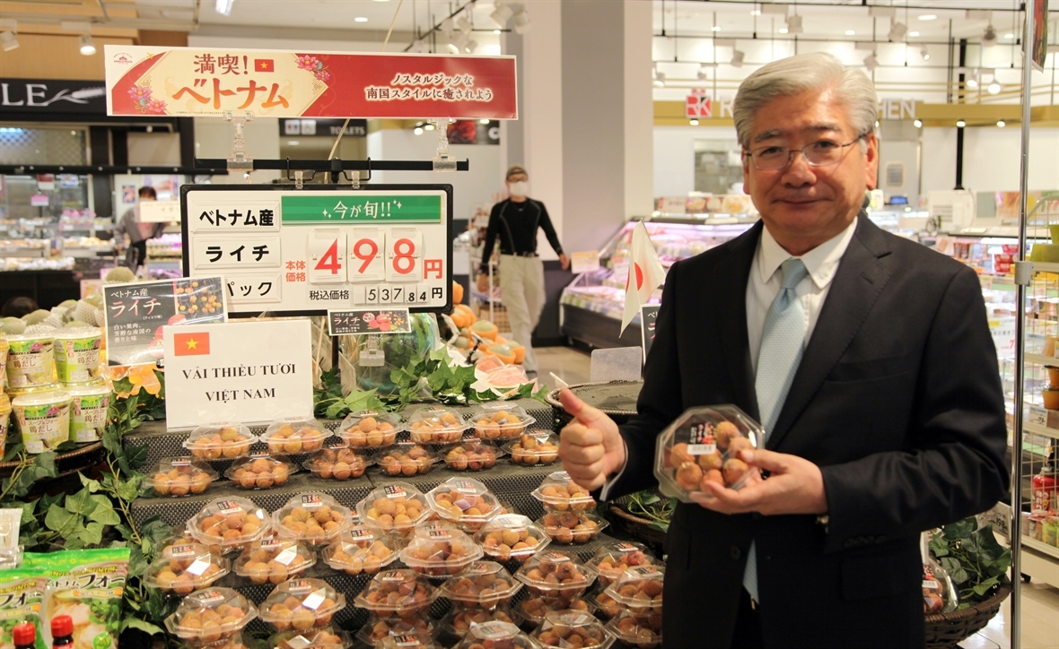 Bên cạnh quả vải thiều tươi, Việt Nam cũng cần đẩy mạnh chế biến sâu các sản phẩm.