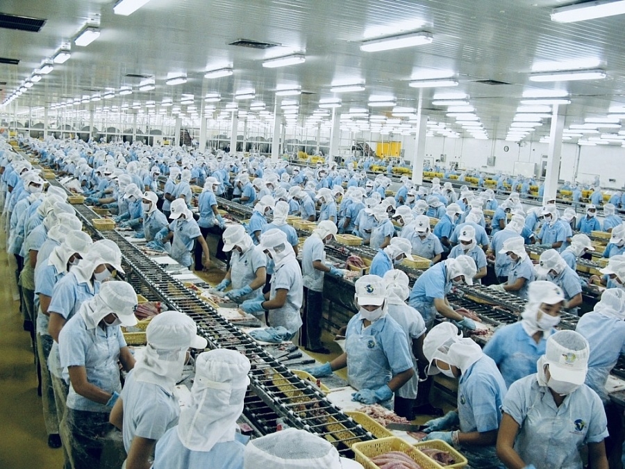 Bất chấp thị trường chung đỏ lửa, cổ phiếu thủy sản liên tục ngược dòng nhờ triển vọng tăng trưởng lợi nhuận của doanh nghiệp.