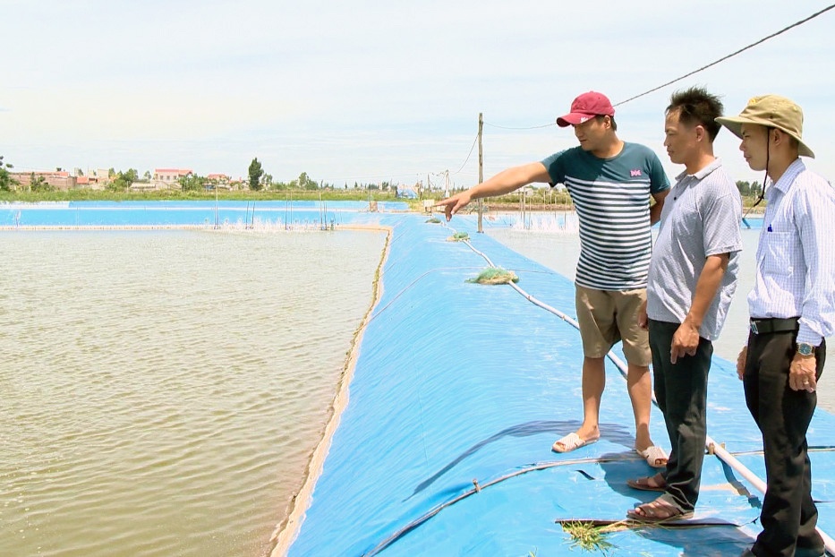 Ninh Bình đã xây dựng và phát triển được 30 HTX chuyên ngành thủy sản nhằm phát triển thế mạnh của địa phương.