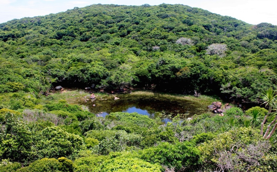 Vườn quốc gia Núi chúa vừa được UNESCO công nhận là khu dự trữ sinh quyển thế giới với tổng diện tích hơn 106 ngàn hecta.