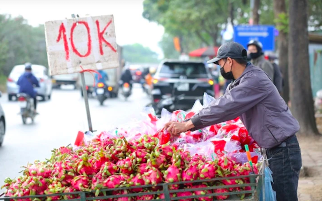 Trái cây giá rẻ tràn ngập đường phố Hà Nội nhưng vẫn khó tìm người mua.