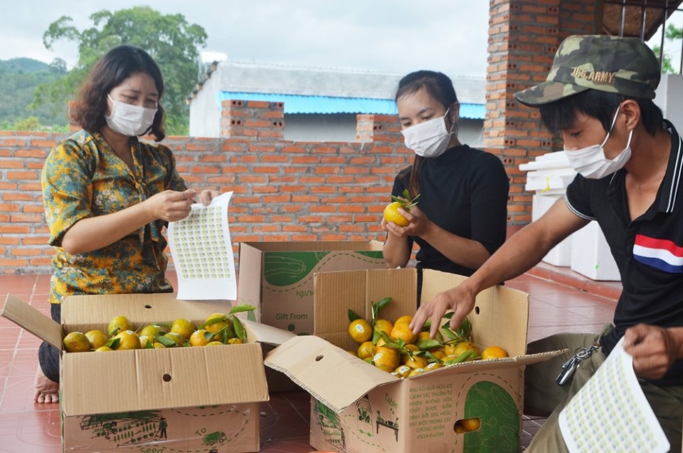 Sử dụng bao bì giấy giúp hạn chế túi nylon dùng một lần.