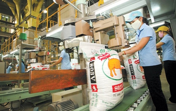 Xuất khẩu nhóm hàng thức ăn chăn nuôi trong quý I đạt 272,55 triệu USD, nhưng kim ngạch nhập khẩu đạt hơn 1,04 tỷ USD (Ảnh minh họa: Int)