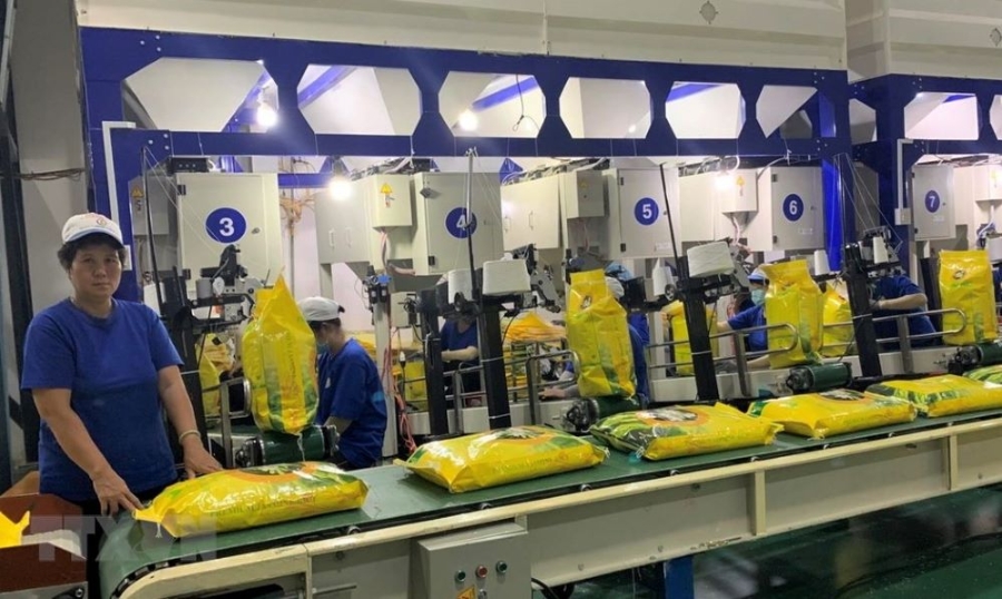 Giá gạo xuất khẩu sang EU đang rất cao so với các thị trường khác và nhu cầu nhập khẩu còn rất lớn, chủ yếu là gạo chất lượng cao (Ảnh: Int)